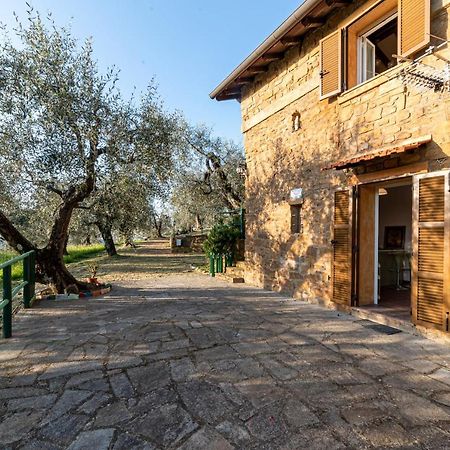 Casetta Maduneta Immersa In Un Oliveto Dolceacqua Kültér fotó