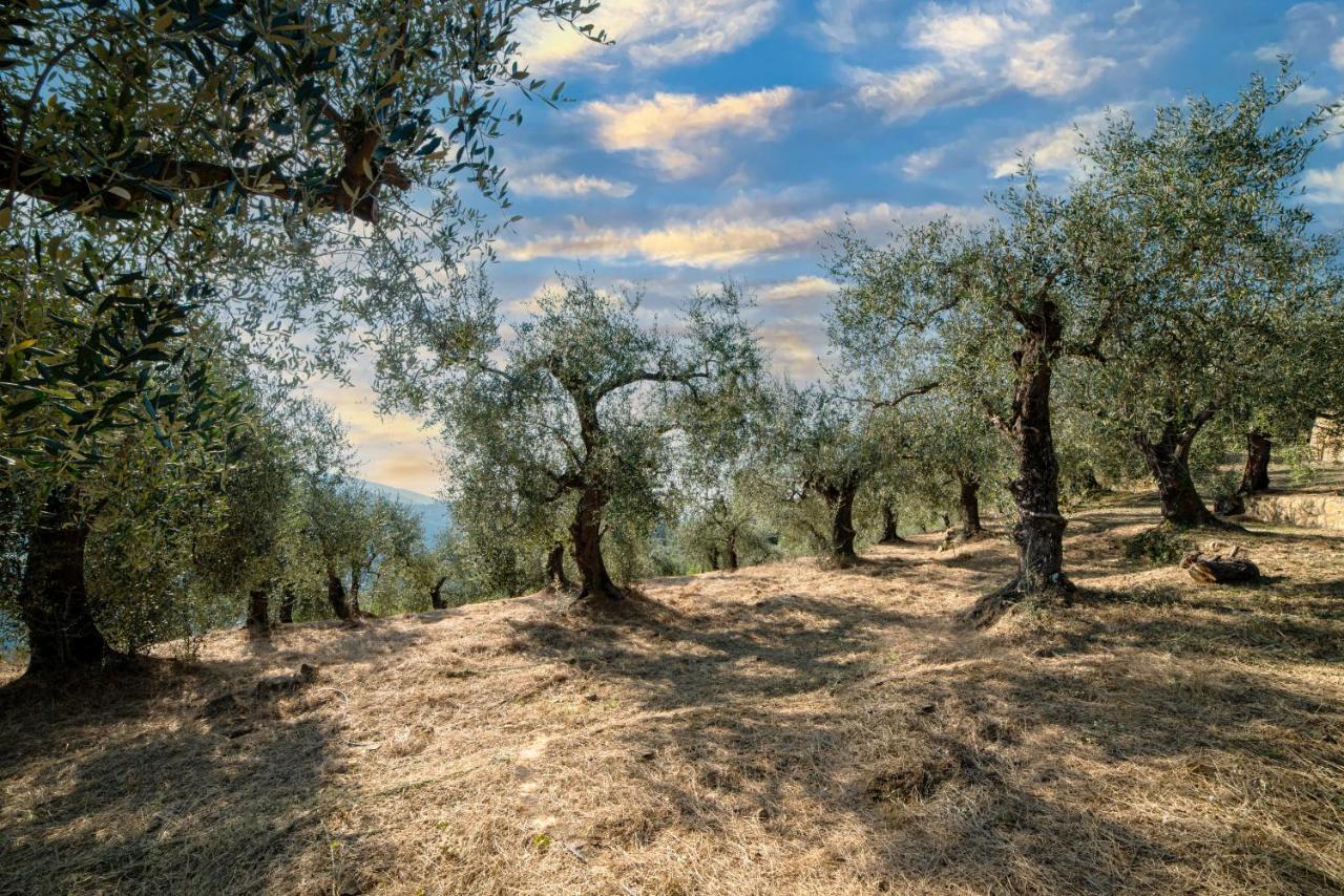 Casetta Maduneta Immersa In Un Oliveto Dolceacqua Kültér fotó