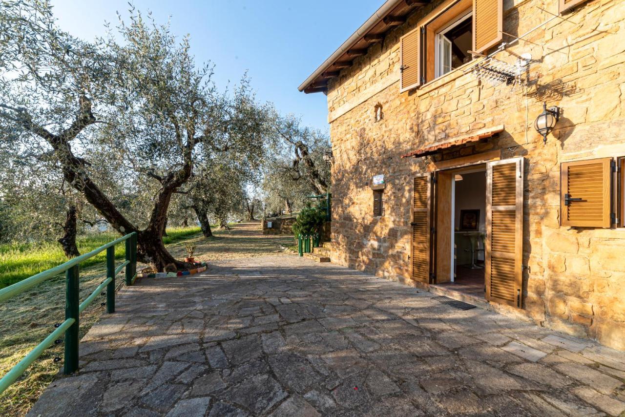 Casetta Maduneta Immersa In Un Oliveto Dolceacqua Kültér fotó